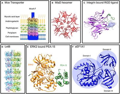 Mycobacterium tuberculosis Uses Mce Proteins to Interfere With Host Cell Signaling